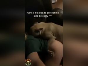 Woman and dog: a story of intense bestiality