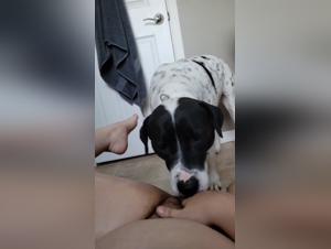 Sex with dog: a woman dares to go further with her dog