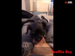 best dogsexporn compilation