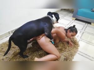 Animal Pornography: Mia's Raw Dog Fuck with Rottie