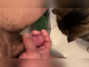 Dog sex video: a woman and her pet in an intimate relationship