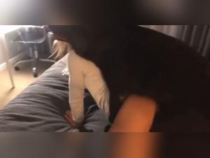 Extreme Bestiality: Horse Cocks & Humans, Uncensored Porn
