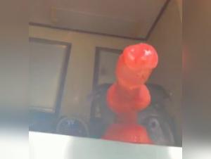 Submissive woman and her dog in shocking bestiality video