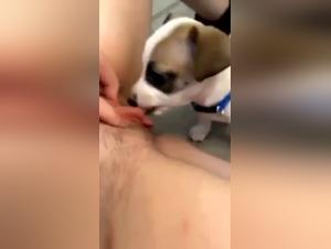 Woman and Dog: An Intense Sexual Experience