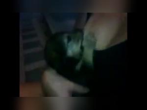 Feeding a dog with breast milk: a shocking scene of zoophilia