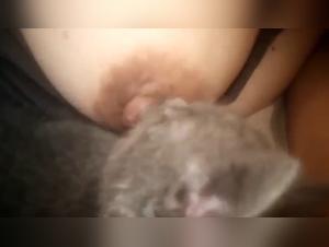 woman breastfeeding kitten