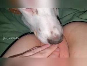 Forbidden Meeting: Woman and Dog