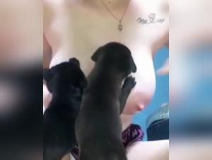 Bestial breastfeeding: a woman and a puppy