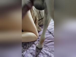 New Banned Source: Bestiality Sex With Dogs