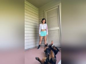 Dog training: a beastly experience