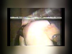 forbidden meeting man horse