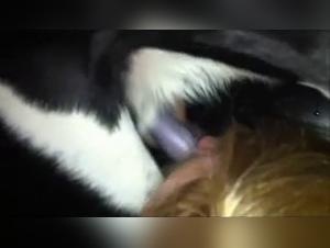 Hure befriedigt ihren Hund, extremer Porno