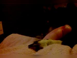 A beastly encounter: woman and dog