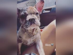 Woman submissive to her dog: a hard zoophilia video