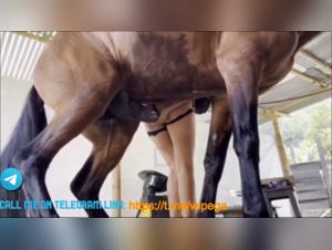 Horses and Humans Compilation: Hard and Extreme Videos