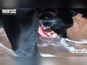 Unveiling Forbidden Desires