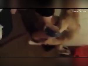 Große italienische Video: Hund vergewaltigt Frau