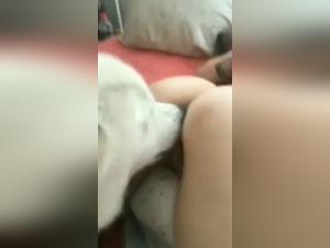 Mujer folada brutalmente por su perro - Vídeos X