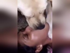 Kissing the Dog: A Shocking True Story of Bestiality and Zoophilia
