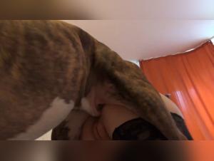 Bestiality sex: Russian woman and dog