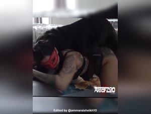 tiktok's dark side: shattered illusions