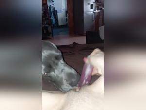 Meuf Baise Chien Extreme
