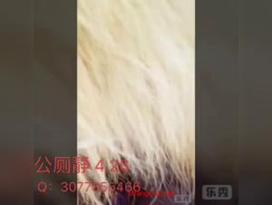 Asian woman and her dog: a zoophilia video not to be missed