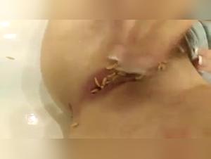 Larvae and sex: a shocking video