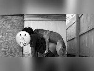 Forbidden Realms: Bestiality Unveiled