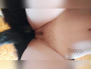 dog sex video