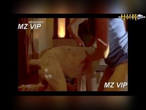 Bestiality sex video: a woman and her dog