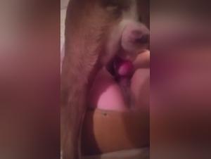 A woman and her dog in a zoophilia video