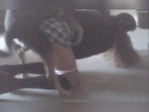 Bestiality sex with uniformed schoolgirl and dog