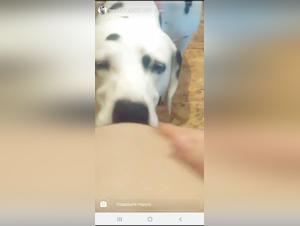 Woman and Dog - Bestiality Sex