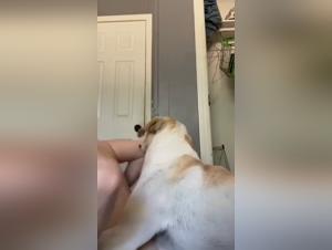 Milly Hund Sexuelle Obsession