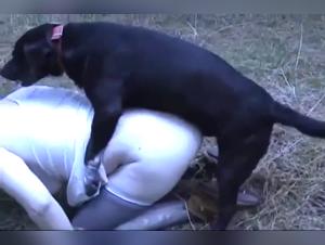 Bestiality in the forest: two women and two dogs