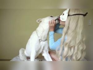 Myzoowife: Eleganz der Katzen und Tierische Glut