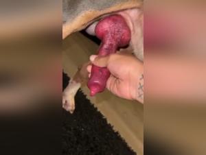 Extreme bestiality: A woman and her dog