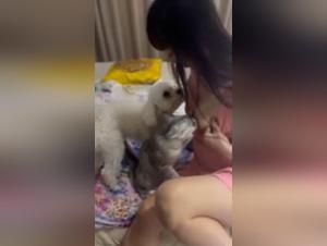 Asian woman and her pets in a zoophilia scene