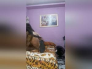 Passivopranegros 2: A Bestial Experience