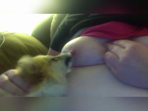 Intense Dog Sex Video: Breast Lick