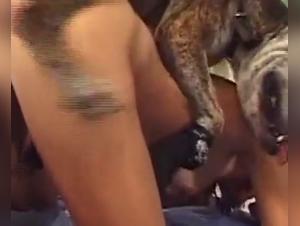 French Milf and Dog - Bestiality Videos