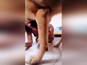 India Woman Baise Chien Partie 1