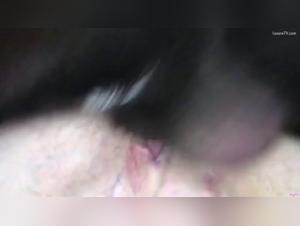 Bestiality Zoophilia Sex Videos Compilation