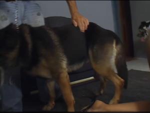 Beastiality Girls: Hund Fickt Frau - Extrem Porn Videos
