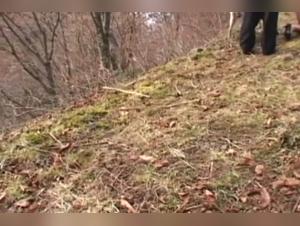 Submissive woman and her dog in nature: a shocking BDSM video