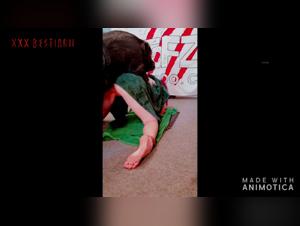 Frau und Hund - Eine verbotene Begegnung auf Video