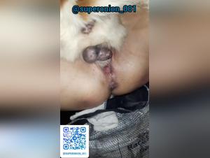 Une amateur baisée par son chien