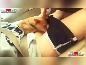 Bestiality sex with a dog in a car
