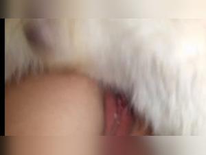 Milly & Deutscher Schäferhund - Tierliebe Ekstase